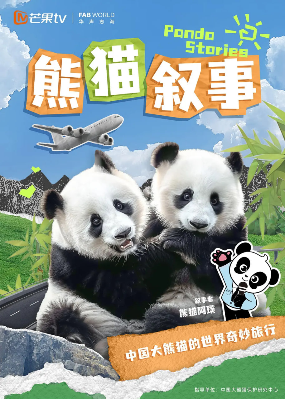 熊猫叙事 2024 动漫 海报
