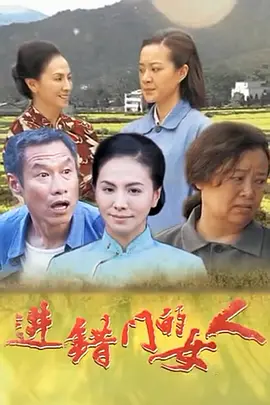进错门的女人 2019 电视剧 海报